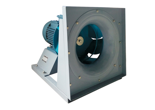 Ż㶫ȴеĹؼãЧԾɱƵ